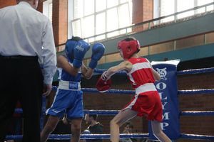 В Великих Луках прошел турнир по боксу памяти Е. Клевцова (ФОТО)