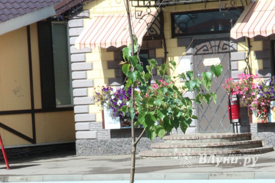 В сквере на Вокзальной обновилась детская площадка (ФОТО)