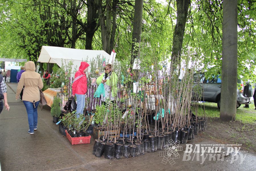 В Пскове проходит 22-ая универсальная выставка (фото)