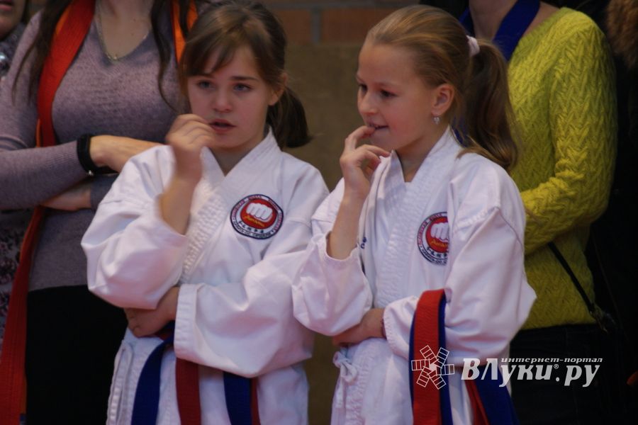 В Великих Луках прошли соревнования по каратэ (ФОТО)