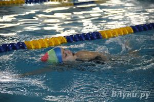 В Великих Луках прошло Первенство по плаванию (фото)