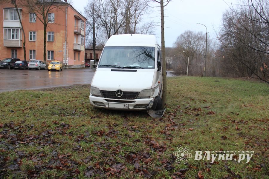 На улице Пушкина водитель врезался в дерево (ФОТО)