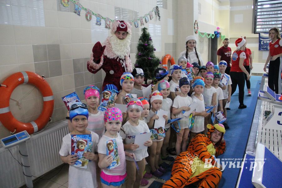 Соревнования по плаванию на призы Деда Мороза прошли в Великих Луках (ФОТО)