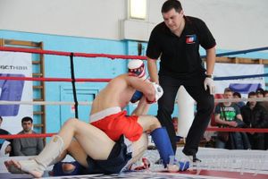 Чемпионат Псковской области по ММА