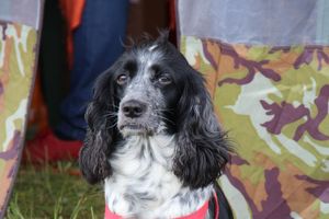 В Великих Луках проходит 7-й Фестиваль авиамодельного спорта (ФОТО)