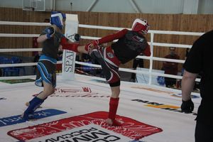 В Великих Луках завершилось Первенство России среди юношей по смешанному боевому единоборству ММА (ФОТО)