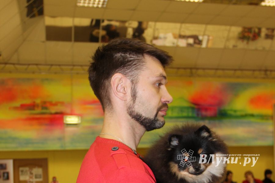 Всероссийская выставка собак в Великих Луках (фото)