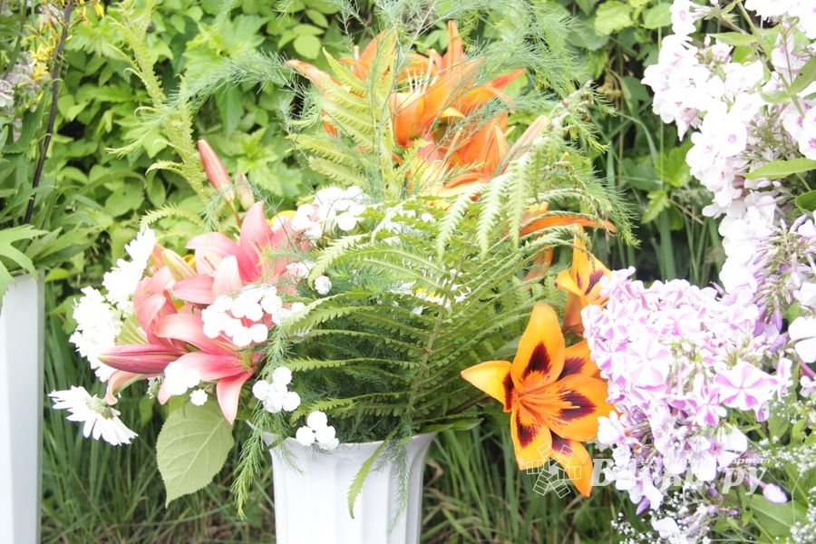 «Парад детских колясок» в День семьи, любви и верности (ФОТО)