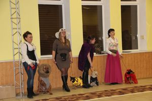 Всероссийская выставка собак в Великих Луках (фото)