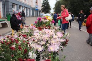 Ярмарка «Осень-2017» (ФОТО)