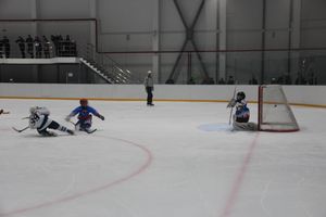 Детский турнир по хоккею прошел в Великих Луках (ФОТО)