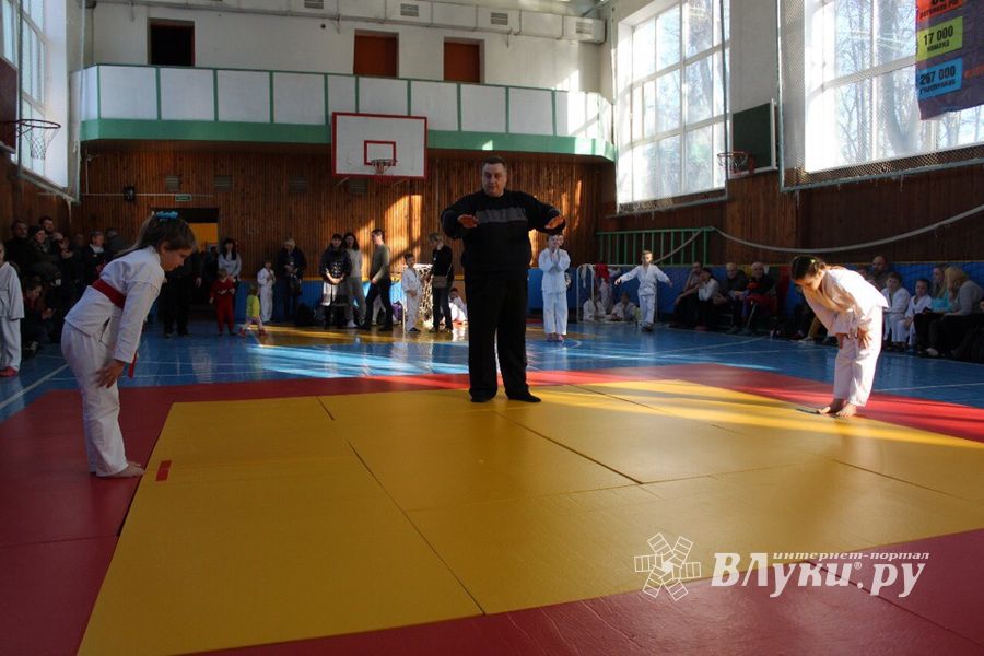 Юные великолучане приняли участие в турнире по дзюдо «Крепыш» (ФОТО)