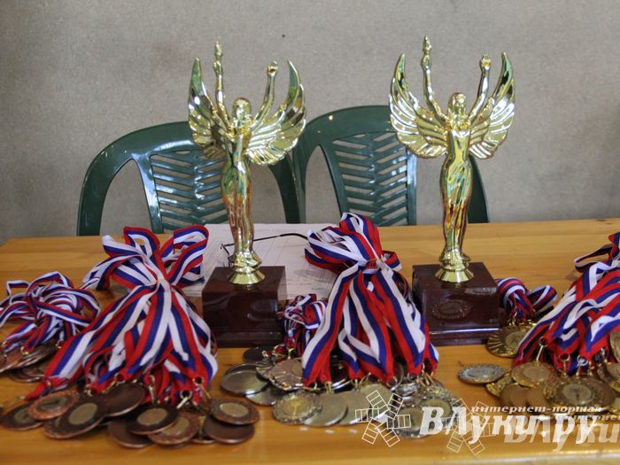 Великолучане стали победителями турнира по каратэ «Неприкосновенный запас, дети — Отчизны 2015» (фото)