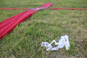 Аэростаты летают над городом (ФОТО)