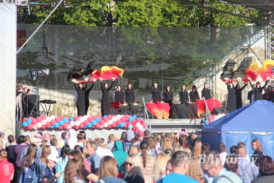 Праздничный салют в честь Дня Победы был дан в Великих Луках (ФОТО)