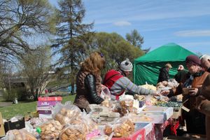 Универсальная торговая ярмарка «Весна-2015» прошла в Великих Луках (фото)