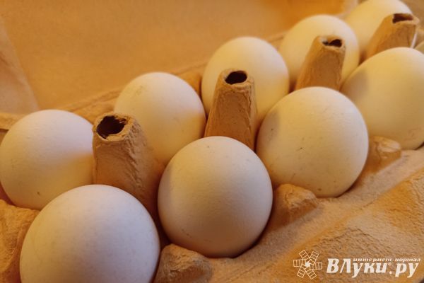 В преддверии Масленицы через Псковскую область ввезено 16 млн пищевых куриных яиц