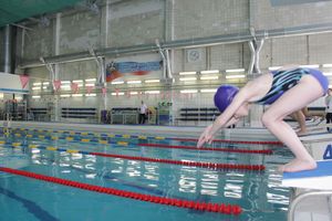 В Великих Луках прошли соревнования по плаванию «Быстрый Кашалот»