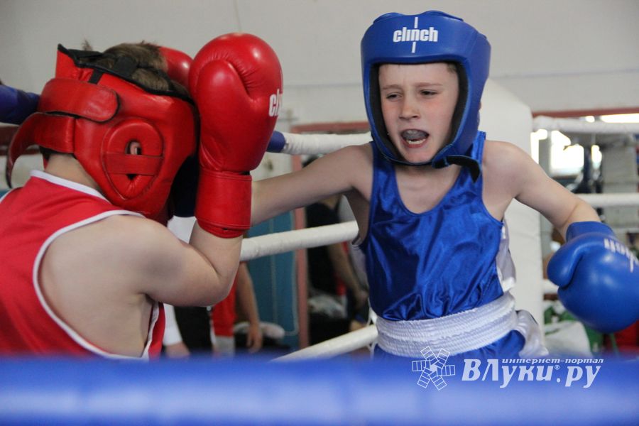 Юные великолучане выявили сильнейших боксёров (ФОТО)