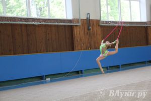 В Великих Луках прошло Первенство по художественной гимнастике (фото)