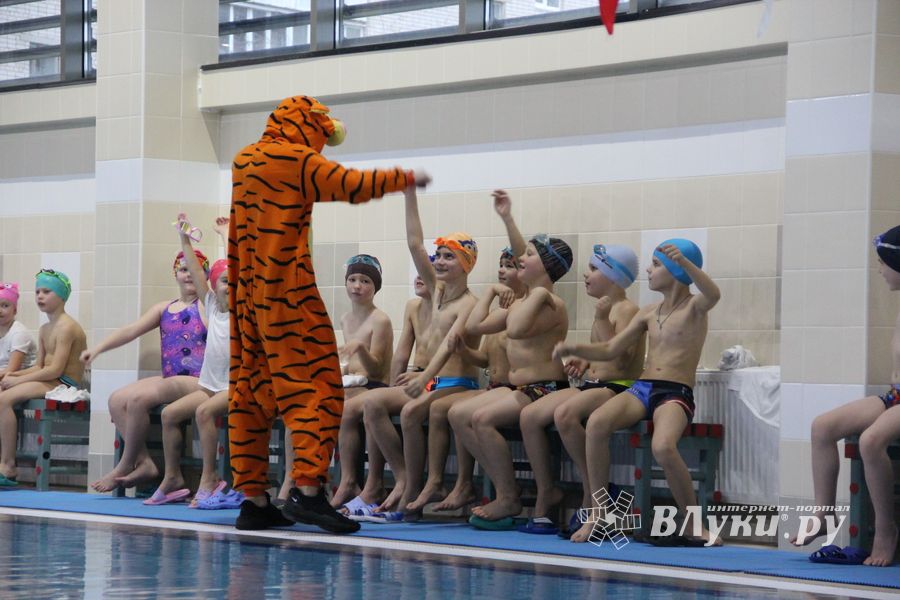 Соревнования по плаванию на призы Деда Мороза прошли в Великих Луках (ФОТО)