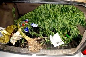 В Великих Луках полицией выявлена нарколаборатория (ФОТО)