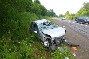 В Псковской области женщина за рулем Тойоты улетела в кювет вместе с маленькими детьми (фото)