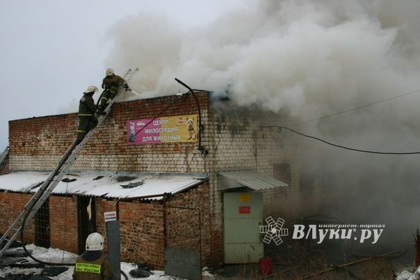 Неисправная печь в приюте для животных спровоцировала пожар