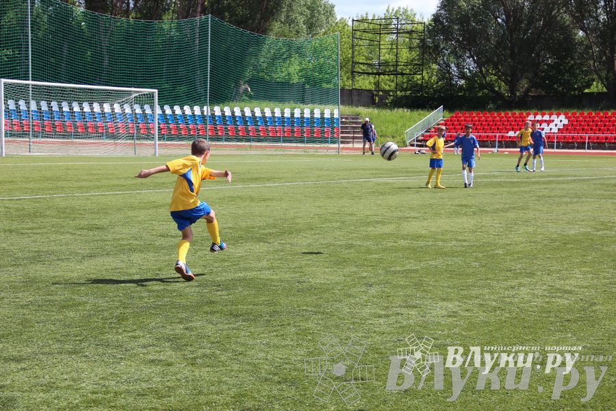 «Локобол-2013» в Великих Луках