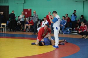 Самбисты поборолись на крупном турнире в Великих Луках (ФОТО)