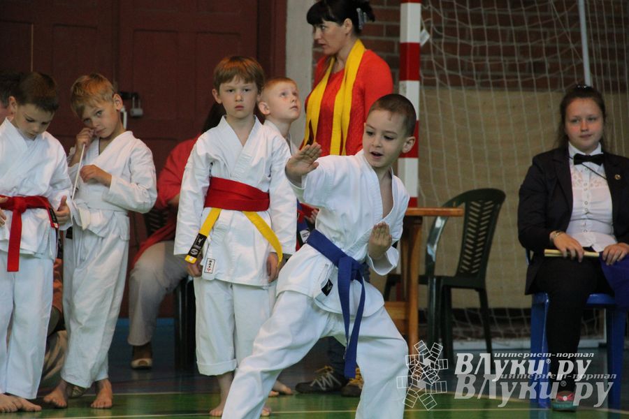 Великолучане стали победителями турнира по каратэ «Неприкосновенный запас, дети — Отчизны 2015» (фото)