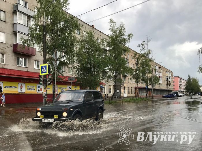 Луки в лужах (ФОТО)