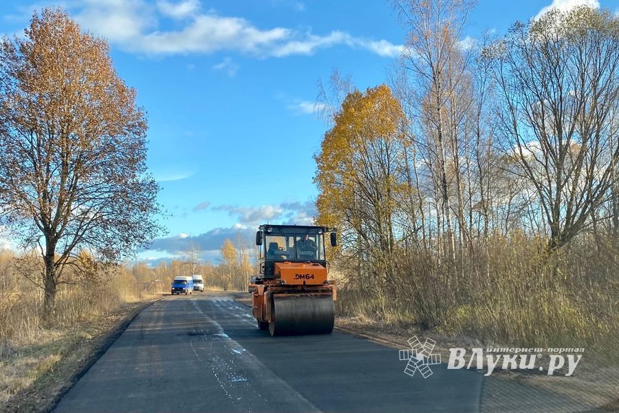 В Великолукском районе идёт ремонт дорог (ФОТО)
