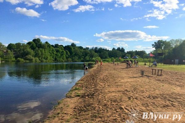 Вода у городского пляжа в Великих Луках не прошла проверку Роспотребнадзора