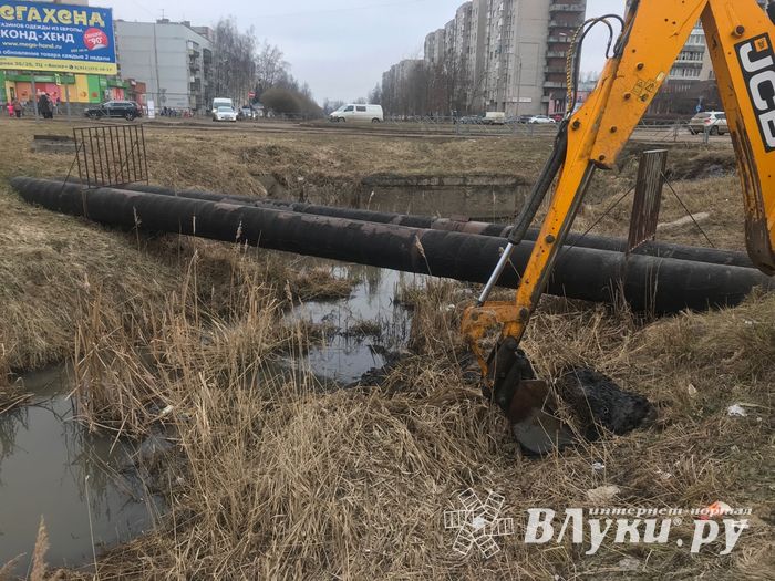 Русло Ситовки очистили от мусора (ФОТО)