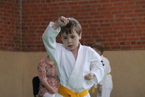 Турнир по каратэ