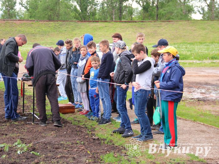 Великолукская регата - не все суда спустили на воду (ФОТО)