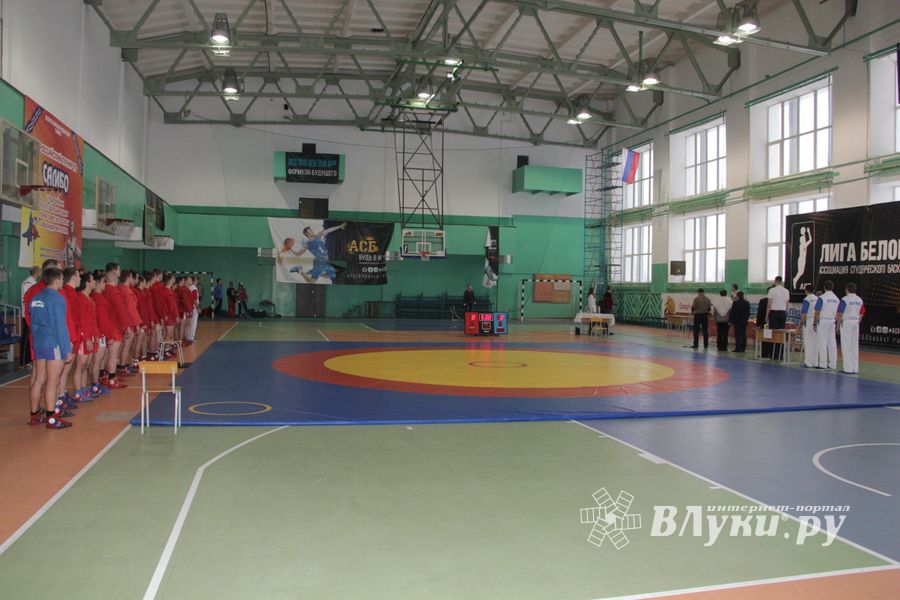 В Великих Луках прошел турнир по самбо, посвященный подвигу Александра Матросова (ФОТО)