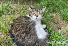 Жаркому лету в Центральной России наступает конец