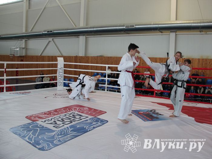 В Великих Луках проходит открытый кубок по смешанному боевому единоборству ММА (ФОТО) (12+)