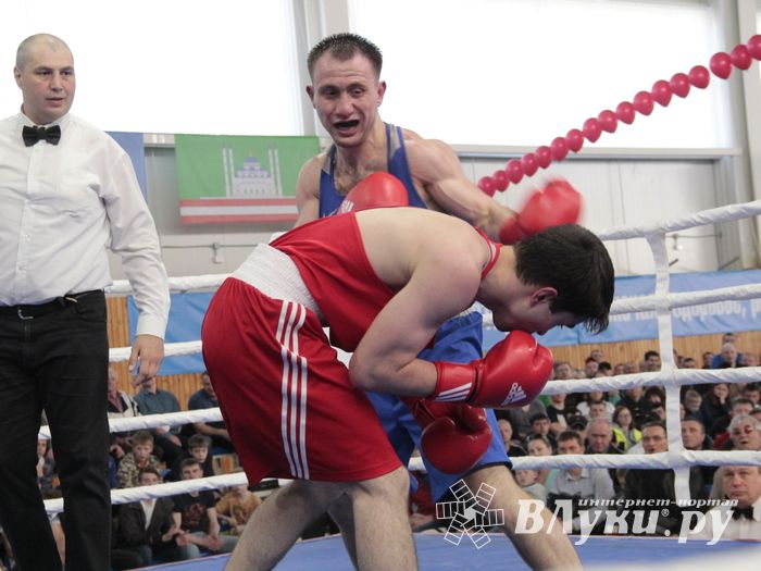 Матчевая встреча по боксу Великие Луки —Псков — Грозный (ФОТО)