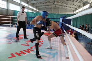 В Великих Луках прошел Кубок области по кикбоксингу (ФОТО)