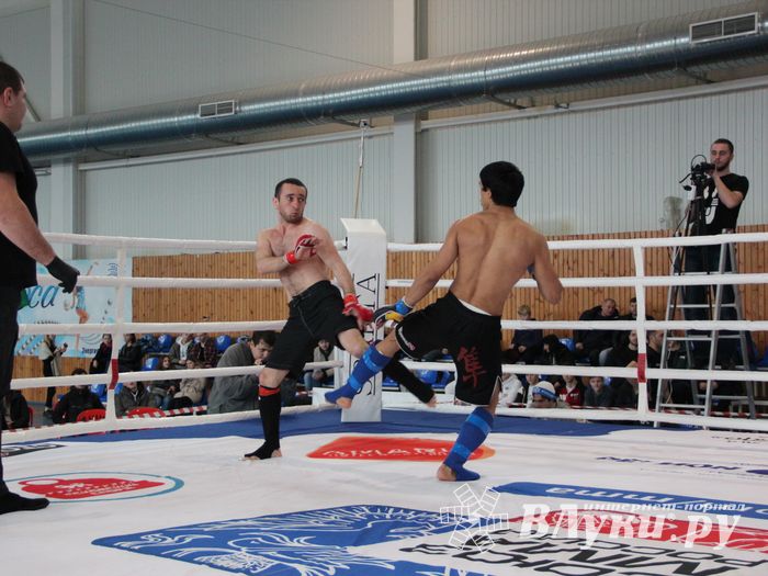 Открытый кубок по смешанному боевому единоборству ММА прошел в Великих Луках (ФОТО)
