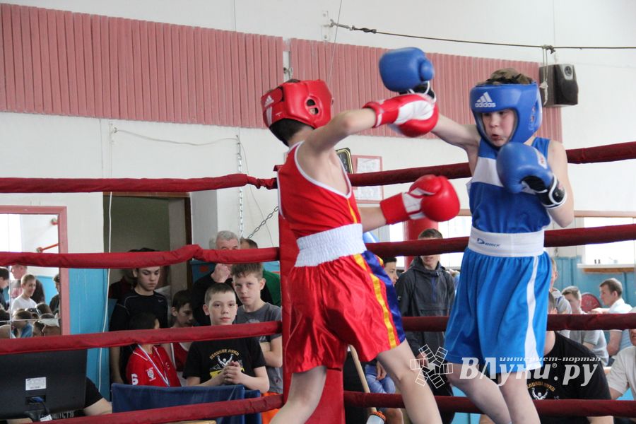 В Великих Луках прошло Первенство города по боксу (ФОТО)