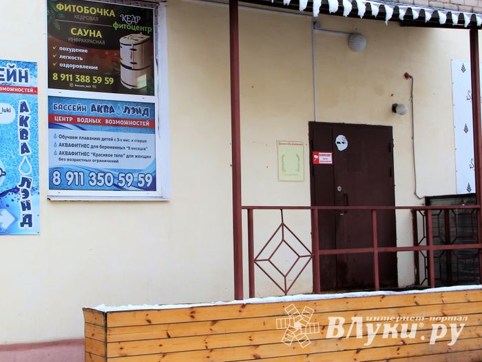 Подарок с кедровым ароматом (ФОТО)