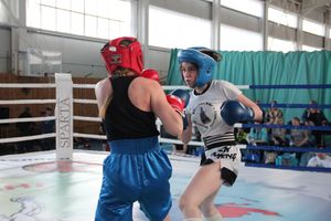 В Великих Луках прошел Кубок области по кикбоксингу (ФОТО)