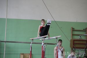 В Великих Луках прошел турнир по спортивной гимнастике (фото)