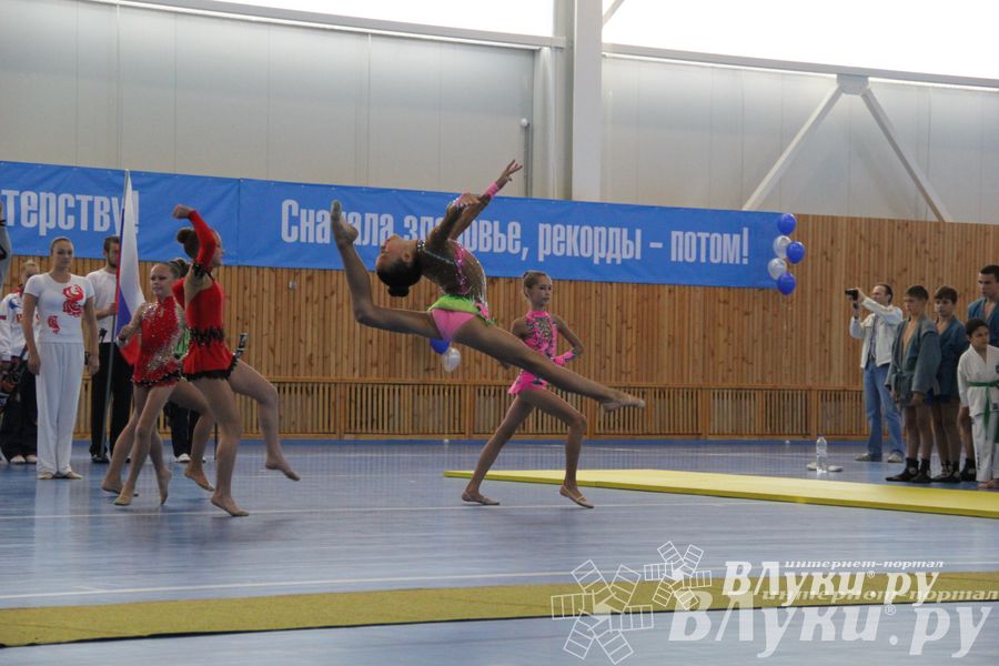 Открытие спортивно-оздоровительный комплекс «Стрелец» (фото)