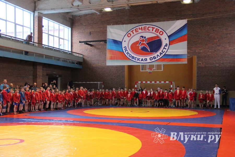 Открытый турнир по самбо «Новогодняя звезда-2019» прошел в Великих Луках (ФОТО)