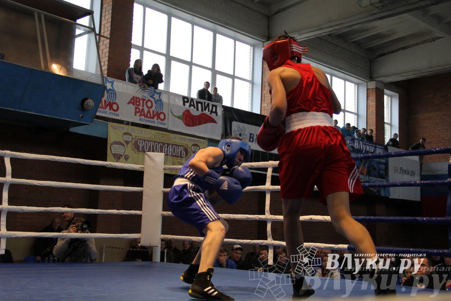 16-й Международный турнир по боксу (фото)